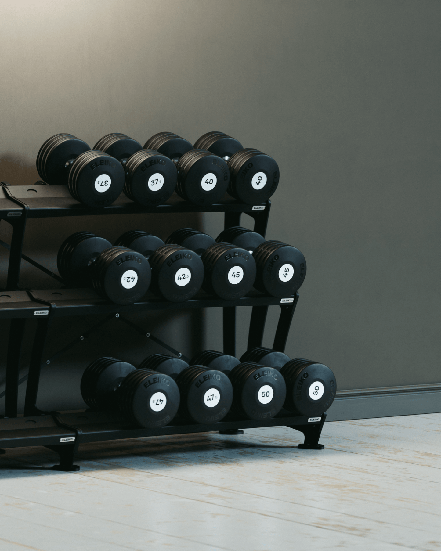 Гантель Eleiko Plate
